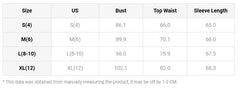 Aiertu Women's Fashion Sexy V Neck Leopard Sheer Mesh Patch Long Sleeve Bodysuit Temperament Commuting Female Casul Sim Fit Shirt Top Aiertu