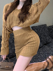 Women Sweater and Skirts Sets Knitted Hooded And Elastic Waist Bodycon Skirt Sets For Women 2024 Autumn Winter Aiertu