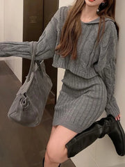 Women Sweater and Skirts Sets Knitted Hooded And Elastic Waist Bodycon Skirt Sets For Women 2024 Autumn Winter Aiertu