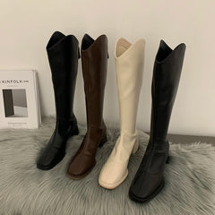 Designer Square Heel Women Knee High Boots Fashion Elegant Back Zippers Shoes Autumn Women's Modern Long Booties Aiertu