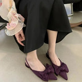 Aiertu New Summer Luxury Bow Tie Purple Sandals for Women Silk Fairy Style Pointed Flat Bottomed Singles Shoes French Flat Aiertu