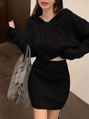 Women Sweater and Skirts Sets Knitted Hooded And Elastic Waist Bodycon Skirt Sets For Women 2024 Autumn Winter Aiertu