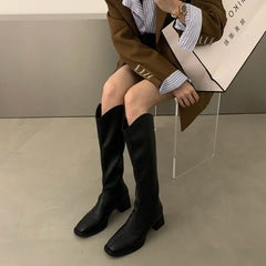 Designer Square Heel Women Knee High Boots Fashion Elegant Back Zippers Shoes Autumn Women's Modern Long Booties Aiertu