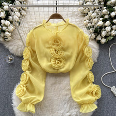 Aiertu High Quality Organza Women Blouse Ruffles Neck Long Sleeves Loose Sweet Top Korean Style 3D Floral Sheer Shirt Aiertu