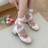 Aiertu Back to school New Spring Autumn Mary Jane Shoes Fashion Shallow Round Toe Mid Heel Shoes Ladies Elegant Outdoor Single Pumps Shoes for Women Aiertu