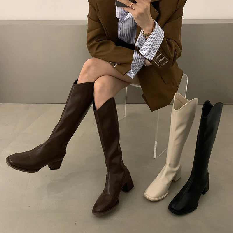 Designer Square Heel Women Knee High Boots Fashion Elegant Back Zippers Shoes Autumn Women's Modern Long Booties Aiertu