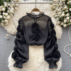 Aiertu High Quality Organza Women Blouse Ruffles Neck Long Sleeves Loose Sweet Top Korean Style 3D Floral Sheer Shirt Aiertu