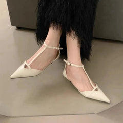 Aiertu Spring New Women Sandal Fashion Pointed Toe Shallow Ladies Elegant Slingback Shoes Thin Low Heel Outdoor Dress Pumps Aiertu