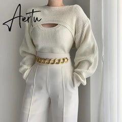 Aiertu Autumn Korean Style Sweater Women Fashion Casual Knit Sweater Vest Top Two Piece Set Female Outer Wear Pullover Sweater Aiertu