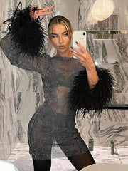 Aiertu Fashion Sexy Feather Patchwork Long Sleeve Mesh Dress Women Autumn See-through Bodycon Package Hip Party Night Club Dresses Aiertu