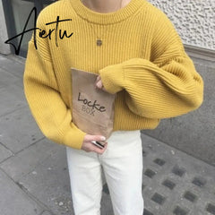 Aiertu Women Solid Knitted Thickening Oversized Sweater Female Round Neck Long Sleeve Casual Loose Pullovers Top Autumn Winter Aiertu