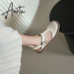 Autumn Women Shoes Round Toe Chunky Heel Women Sandals Women Mary Janes Leather Shoes Concise Shoes for Women Closed Nose Aiertu