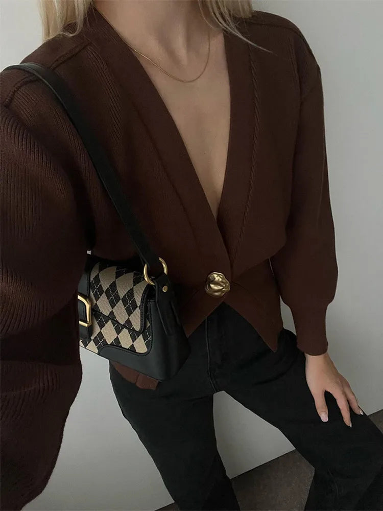 Aiertu Elegant Brown One Button Knitted Cardigan For Women Solid V Neck Long Sleeve Loose Sweater Autumn Female High Streetwear Aiertu