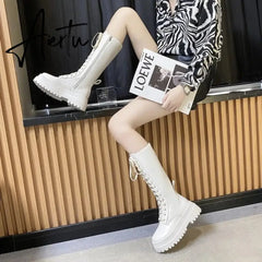 PU Leather Knee Length Long Boots Ultra Fine Fiber Skinny Waterproof Platform Round Toe High Heels Footwear Botas Aiertu