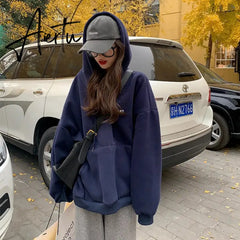 Women Hoodies Letter Embroidery Clothing Leisure Hooded Pullover All-match Streetwear Retro High Street Gothic Thickening Warm Aiertu