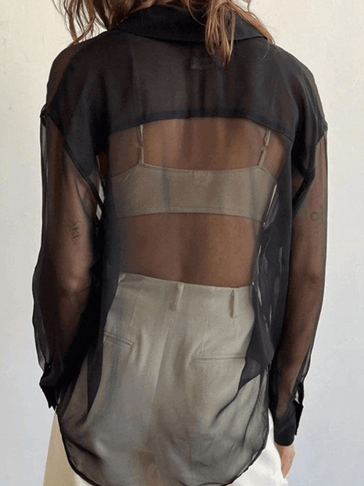 Aiertu  -  Button Front Semi Sheer Long Sleeve Blouse Aiertu