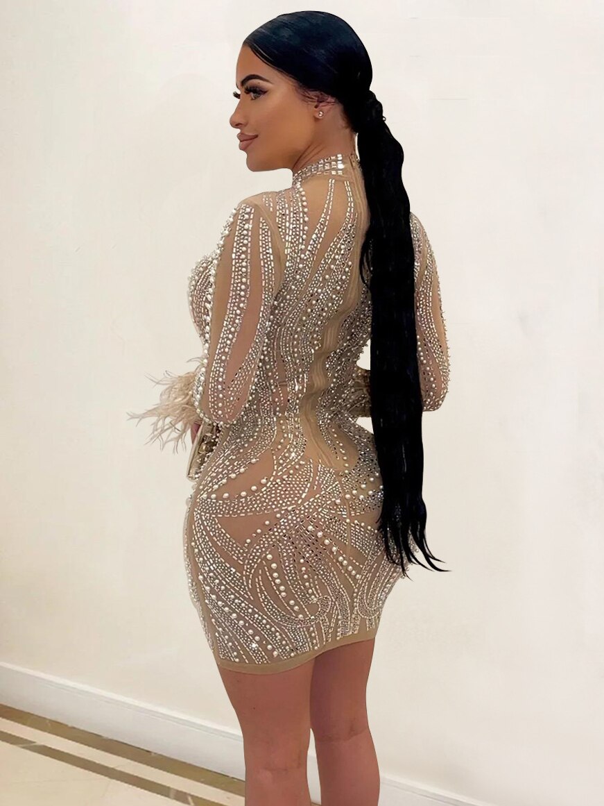 Aiertu  Woman Fashion Sexy Mesh See-through Long Sleeve Feathers Rhinestones Bodycon Party Dresses 2025  Package Hip Mini Nightclub Dress Aiertu