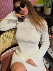 Aiertu  -  Long Sleeved Knitted Turtleneck Dress Women's Solid Color A-line Skirt Autumn Stylish Ladies Sweater Knee Length Dress Aiertu