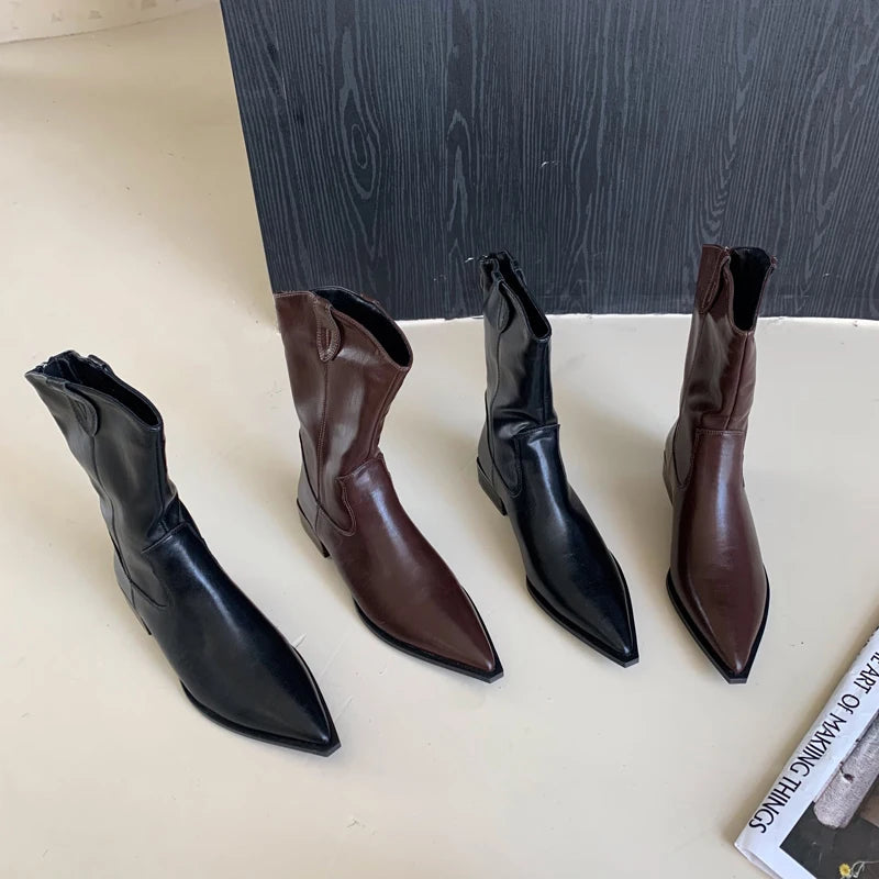 Aiertu    -  Black Pointed Toe Boots Woman Chunky Shoes Fall High Heels Brown Ankle Boots Back Zipper Ladies Shoes Aiertu