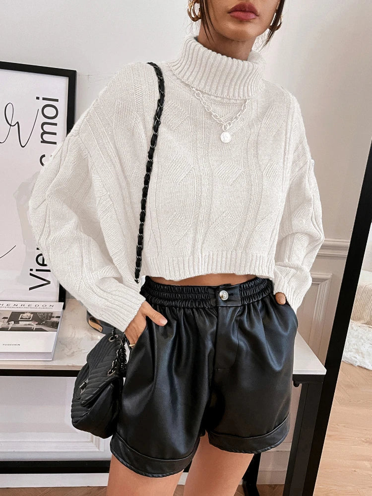 Aiertu  -  Turtleneck Cropped Sweater Women Autumn Winter Streetwear Loose Casual Pullover Knitted Long Sleeve Tops Solid Aiertu