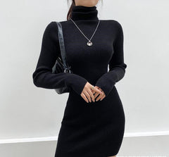 Aiertu - High Neck Long Sleeve Hip Dress Aiertu