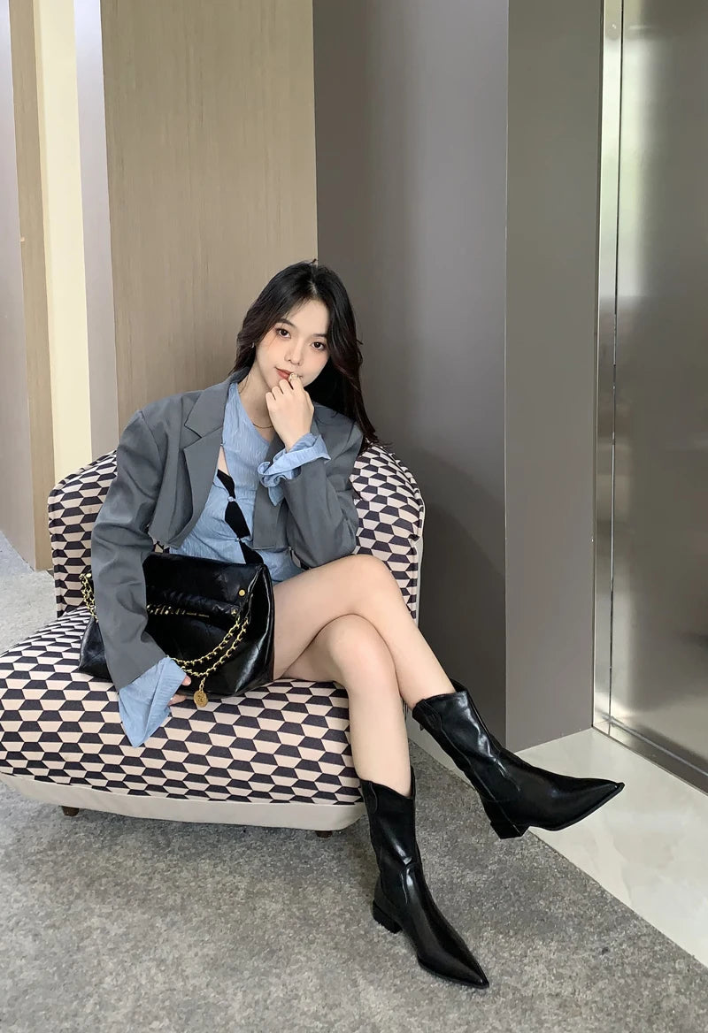 Aiertu    -  Black Pointed Toe Boots Woman Chunky Shoes Fall High Heels Brown Ankle Boots Back Zipper Ladies Shoes Aiertu