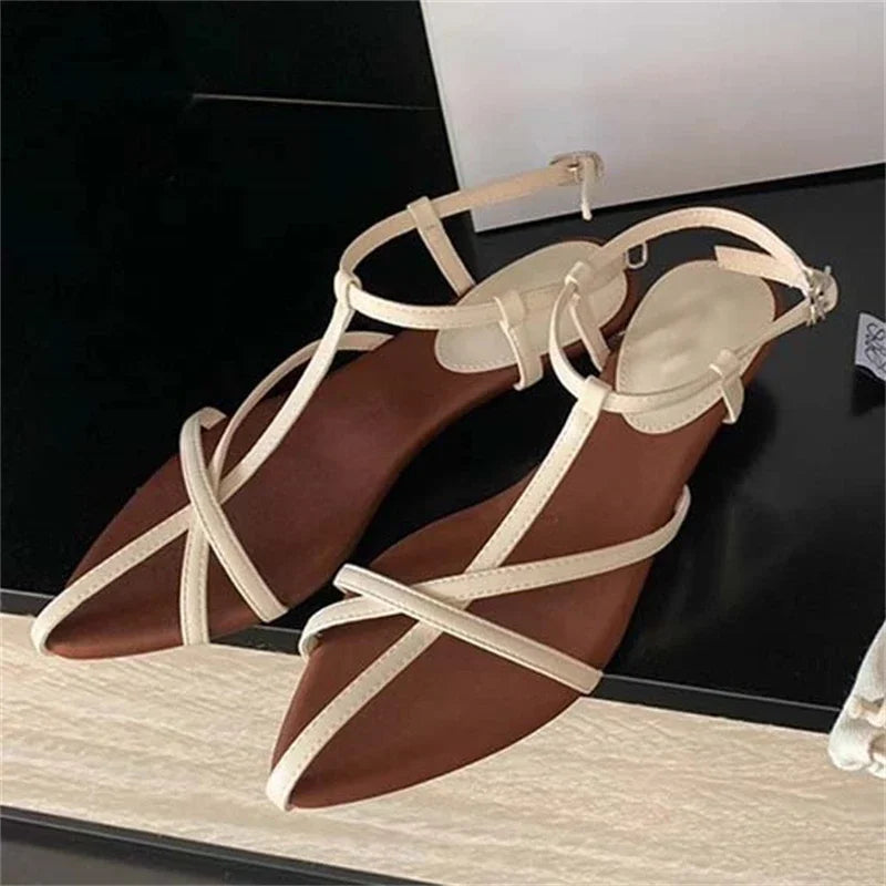 Aiertu  -   2025 Summer Womens Sandals  Fashion Pointed Toe Buckle Strap Narrow Band Low Heels Shoes Zapatos Mujer Aiertu