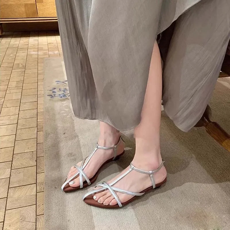 Aiertu  -   2025 Summer Womens Sandals  Fashion Pointed Toe Buckle Strap Narrow Band Low Heels Shoes Zapatos Mujer Aiertu