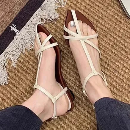 Aiertu  -   2025 Summer Womens Sandals  Fashion Pointed Toe Buckle Strap Narrow Band Low Heels Shoes Zapatos Mujer Aiertu