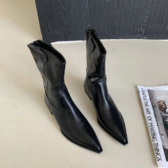 Aiertu    -  Black Pointed Toe Boots Woman Chunky Shoes Fall High Heels Brown Ankle Boots Back Zipper Ladies Shoes Aiertu