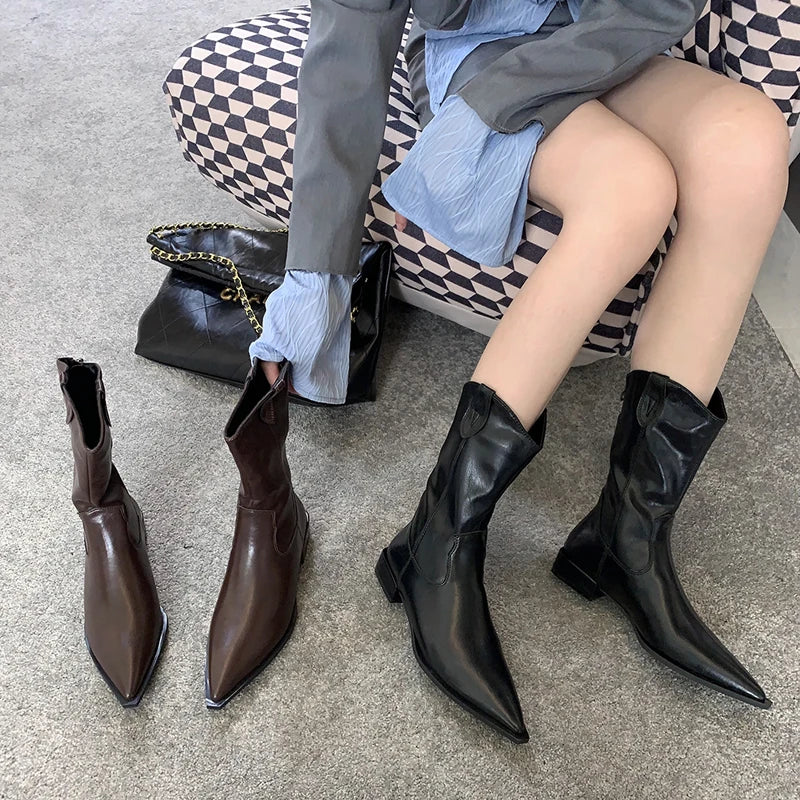 Aiertu    -  Black Pointed Toe Boots Woman Chunky Shoes Fall High Heels Brown Ankle Boots Back Zipper Ladies Shoes Aiertu