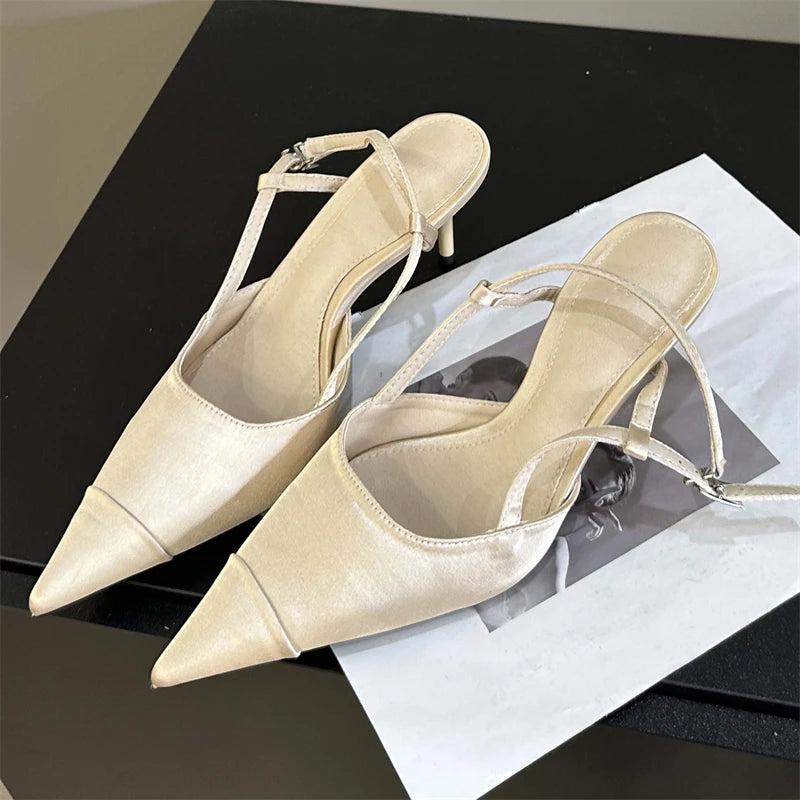 Aiertu  -  2025 New Spring Buckle Strap Women Pumps Sandals Fashion Shallow Thin Heels Pointed Toe Slingback Mules Tacones Mujer Aiertu