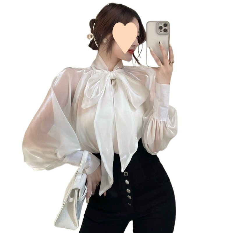 Aiertu business casual outfits Mesh Bow Shirt for Women Spring and Autumn New Elegant Top Fashionable Light Mature Bright Silk Long Sleeve Shirt aiertu