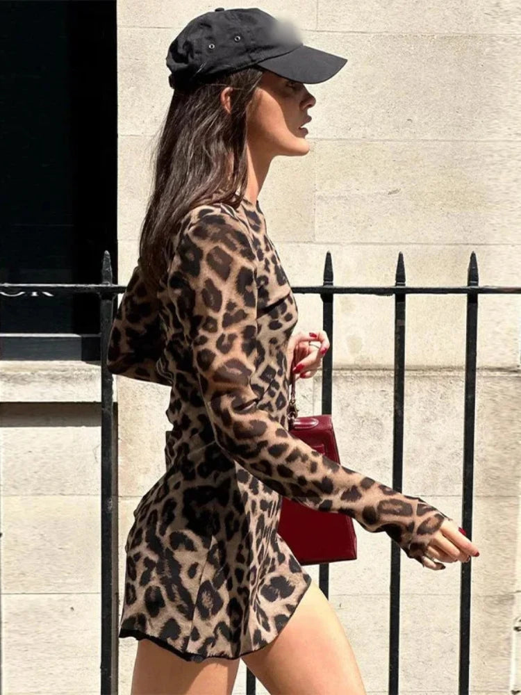 Aiertu Leopard Animal Print Sexy Mini Dress Women 2024 Spring Summer Vintage Streetwear Retro Long Sleeve Short Dresses Fashion Aiertu