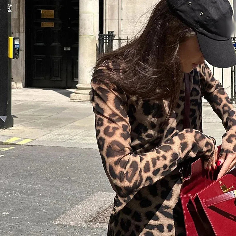 Aiertu Leopard Animal Print Sexy Mini Dress Women 2024 Spring Summer Vintage Streetwear Retro Long Sleeve Short Dresses Fashion Aiertu