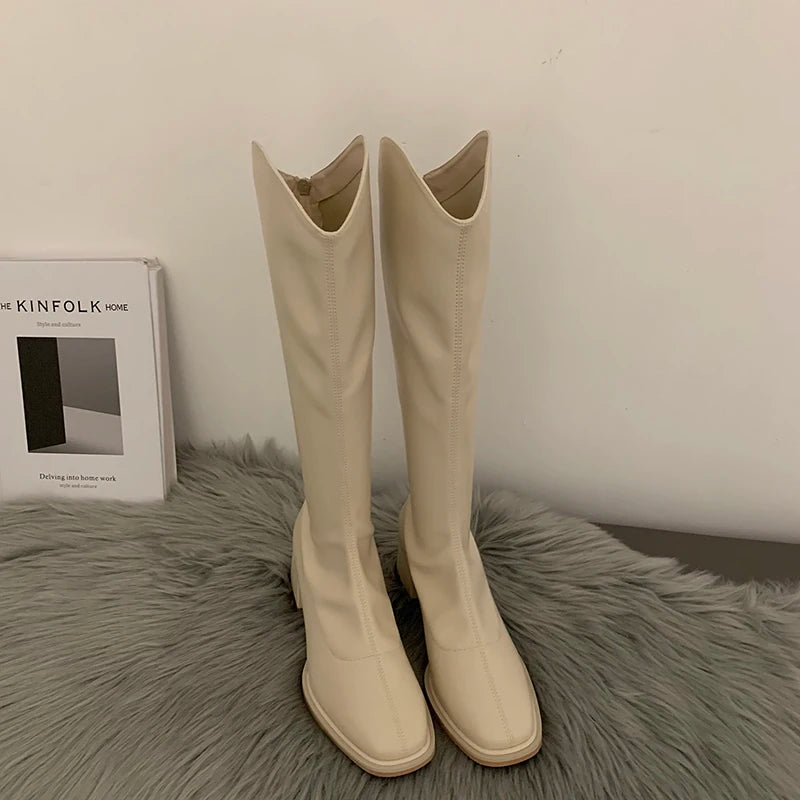 Designer Square Heel Women Knee High Boots Fashion Elegant Back Zippers Shoes Autumn Women's Modern Long Booties Aiertu