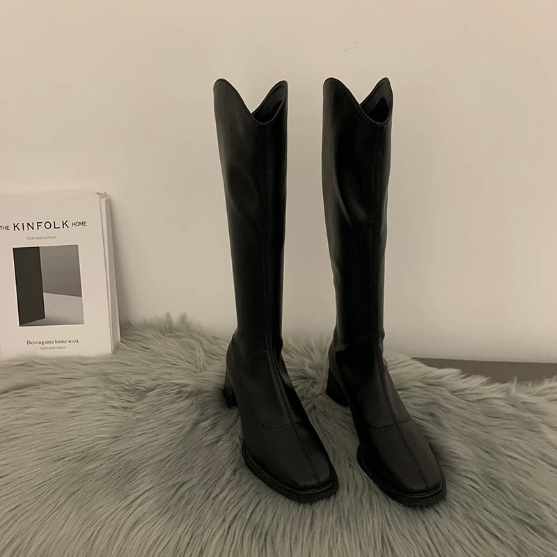 Designer Square Heel Women Knee High Boots Fashion Elegant Back Zippers Shoes Autumn Women's Modern Long Booties Aiertu