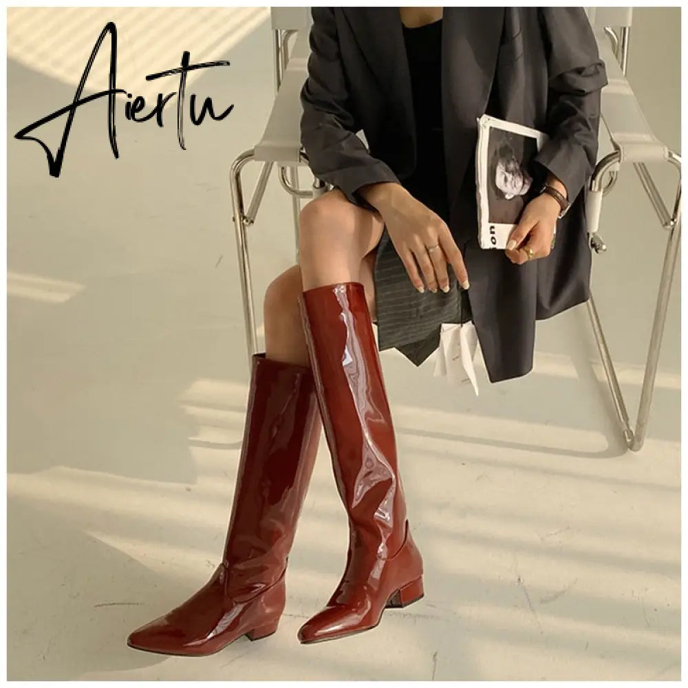 Aiertu  New INS Women Knee-high Women Boot Shoes Low Heel Slip On Long Boots Brand Designer Pointed Toe Chelsea Boots Aiertu