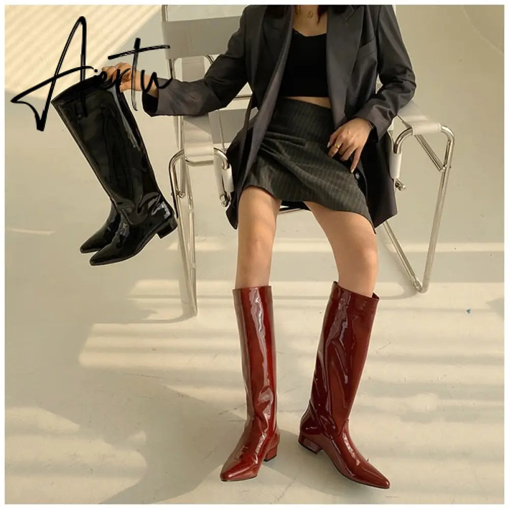 Aiertu  New INS Women Knee-high Women Boot Shoes Low Heel Slip On Long Boots Brand Designer Pointed Toe Chelsea Boots Aiertu