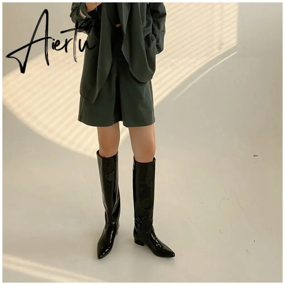 Aiertu  New INS Women Knee-high Women Boot Shoes Low Heel Slip On Long Boots Brand Designer Pointed Toe Chelsea Boots Aiertu