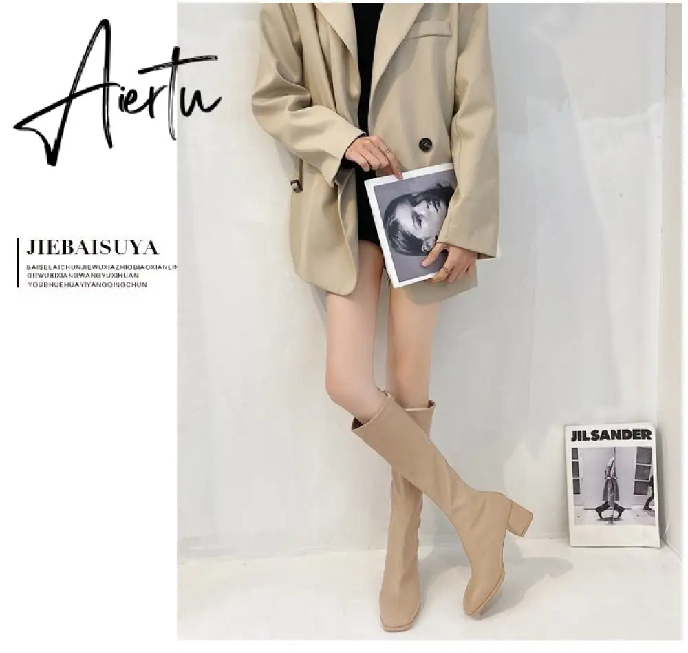 Aiertu New Winter Style with Fleece Medium Chunky Heel Knight Boots Women's High Tube Thinner-looked High Heel Shorty Long Boots Aiertu