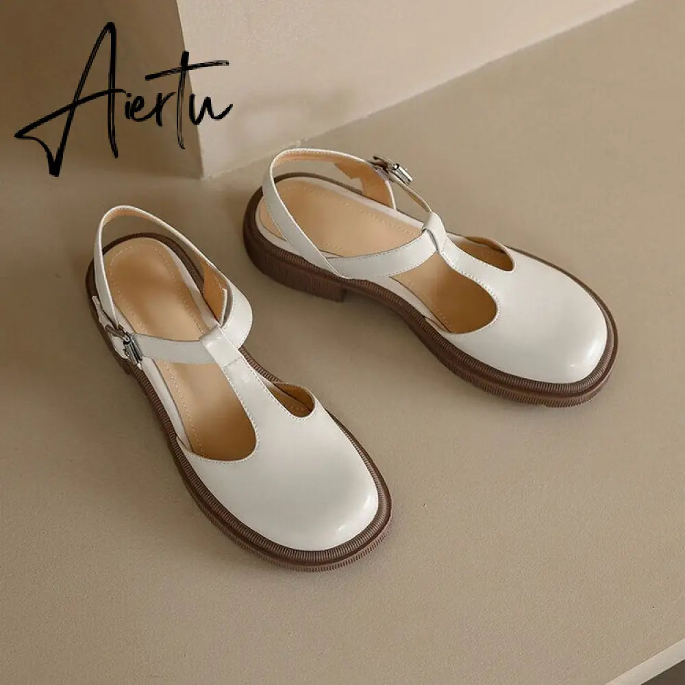 Autumn Women Shoes Round Toe Chunky Heel Women Sandals Women Mary Janes Leather Shoes Concise Shoes for Women Closed Nose Aiertu