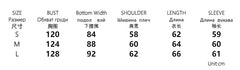 Aiertu  -  Fashion Women's Ruffle Shirts Loose V-neck Long Lantern Sleeve Female Blouses 2025 Spring Summer Lady Sexy See Through Shirt New Aiertu