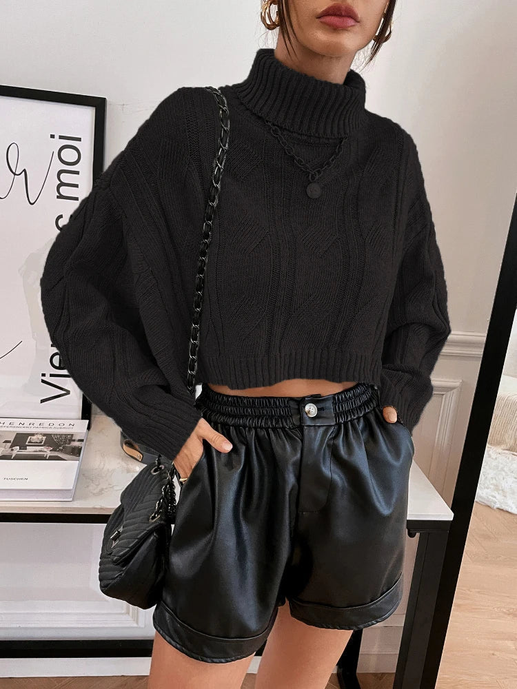 Aiertu  -  Turtleneck Cropped Sweater Women Autumn Winter Streetwear Loose Casual Pullover Knitted Long Sleeve Tops Solid Aiertu