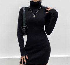 Aiertu - High Neck Long Sleeve Hip Dress Aiertu