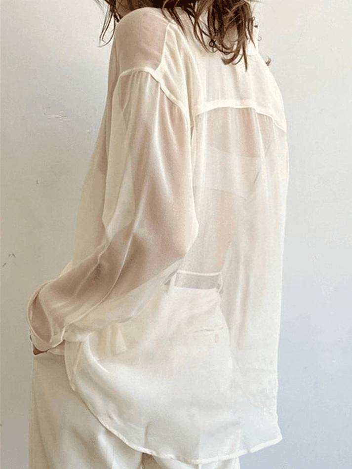 Aiertu  -  Button Front Semi Sheer Long Sleeve Blouse Aiertu