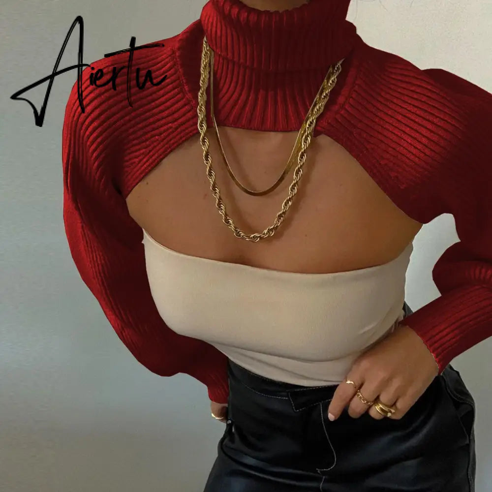 Fashion Autumn Women Female Solid Color High Collar Long Sleeve Mini Sweater Knitwear Pullover Black/Apricot Aiertu