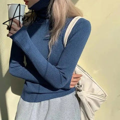 Simple Turtleneck Sweater Women Autumn Winter Casual Solid Color Slim Elastic Knit Pullover Female Soft Warm Jumper Basic Tops Aiertu
