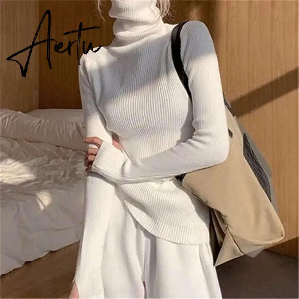 Simple Turtleneck Sweater Women Autumn Winter Casual Solid Color Slim Elastic Knit Pullover Female Soft Warm Jumper Basic Tops Aiertu