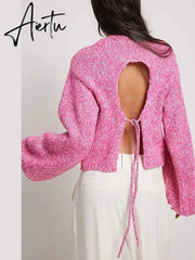 Solid Knit O-neck Back Cut Out Women Sweaters Oversized Lace-up Long Sleeve Crop Top Knitwear Autumn Chic Sexy Highstreet Cloth Aiertu
